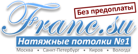 Логотип компании Franc.su