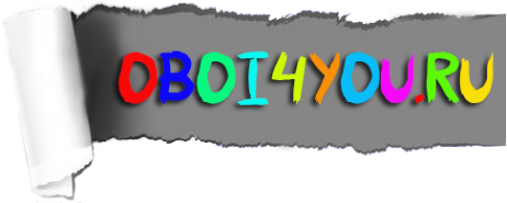 Логотип компании Oboi4you