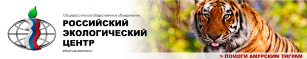 Логотип компании Российский Экологический Центр