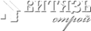Логотип компании Витязь-Строй