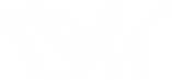 Логотип компании Мастер Иллюзий