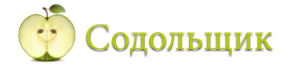 Логотип компании Содольщик.ру