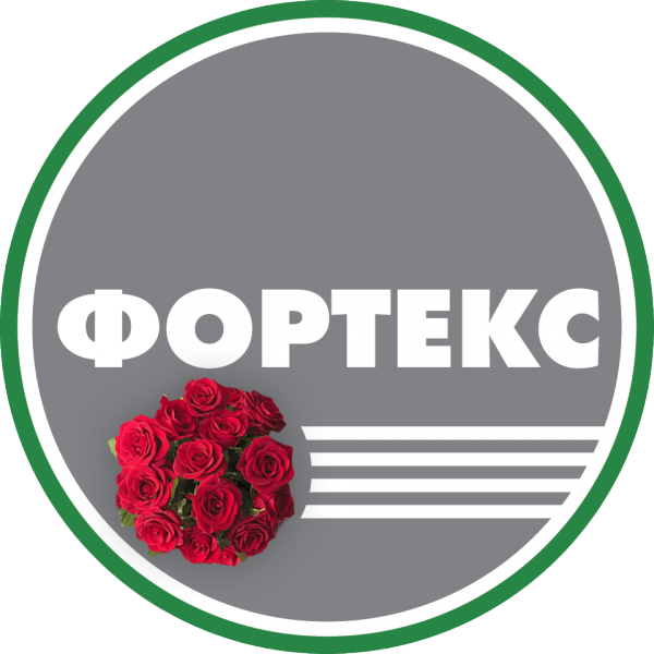 Логотип компании Фортекс