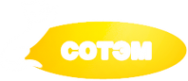 Логотип компании Сотэм
