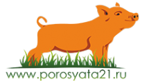 Логотип компании Поросята21