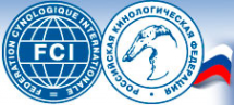 Логотип компании Российская Кинологическая Федерация