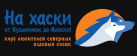 Логотип компании На хаски