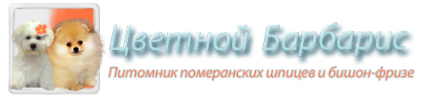 Логотип компании Цветной барбарис