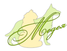 Логотип компании Медея