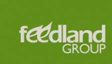Логотип компании Фидлэнд Групп