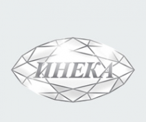 Логотип компании Инека