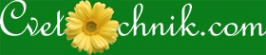 Логотип компании Цветы+