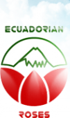 Логотип компании Ecuadorian Roses