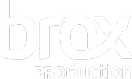 Логотип компании Брокс Про