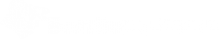 Логотип компании БелтВорлдКарго