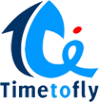 Логотип компании TT Fly