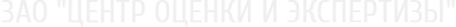 Логотип компании Центр оценки и экспертизы
