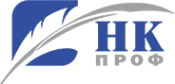 Логотип компании НК-Профаудит