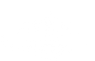 Логотип компании Драконта