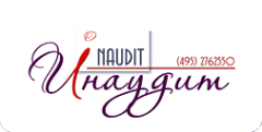 Логотип компании Инаудит