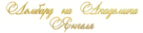Логотип компании Цилеста