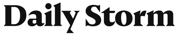 Логотип компании Daily Storm