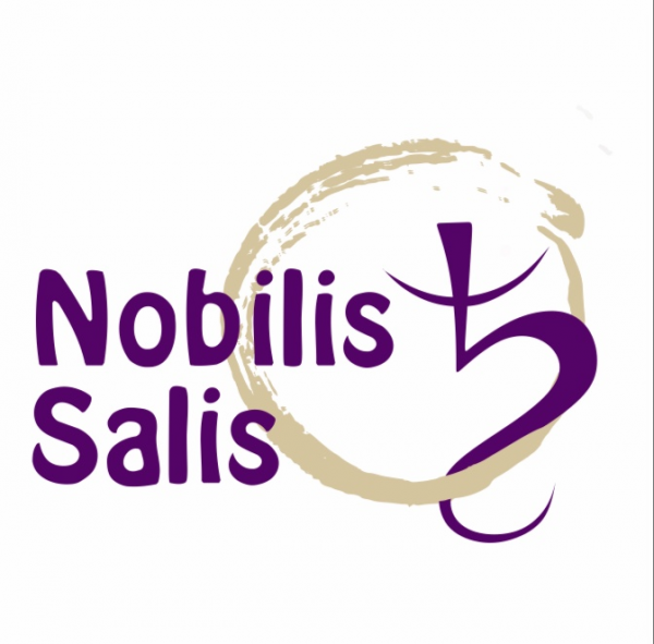 Логотип компании NOBILIS SALIS