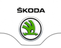 Логотип компании Major Skoda