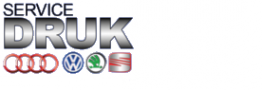 Логотип компании ДРУК