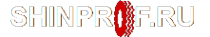 Логотип компании ShinProf