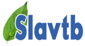 Логотип компании Славтехбизнес
