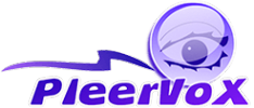 Логотип компании Pleervox