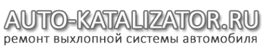 Логотип компании Автокатализатор
