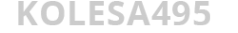 Логотип компании Колеса495