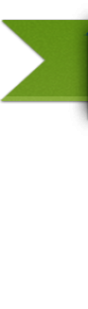 Логотип компании Аппарат Совета депутатов муниципального округа Восточное Дегунино