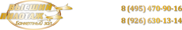 Логотип компании Высший пилотаж