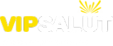 Логотип компании VipSalut