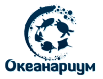 Логотип компании Jungle Land Логотип компании Jungle Land