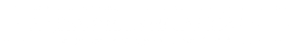 Логотип компании Академический ансамбль песни и пляски Российской Армии им. А.В. Александрова