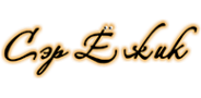 Логотип компании Сэр Ежик