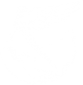 Логотип компании Люксор