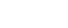Логотип компании Binario