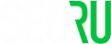 Логотип компании SEO.ru