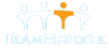 Логотип компании TeamBridge