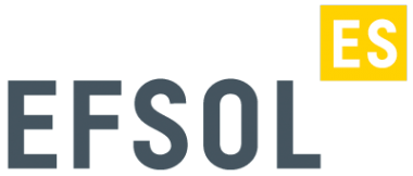 Логотип компании EFSOL