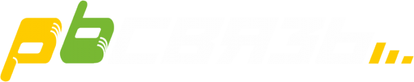 Логотип компании PbСВЯЗЬ