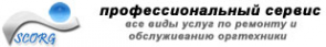 Логотип компании Scorg