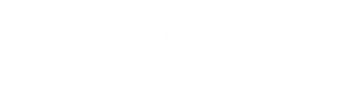 Логотип компании КУРС