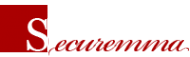 Логотип компании Securemma
