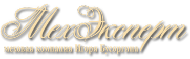 Логотип компании МехЭксперт